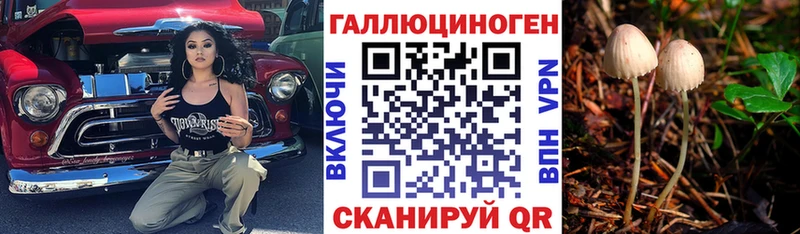 даркнет сайт  Дзержинск  Галлюциногенные грибы прущие грибы 