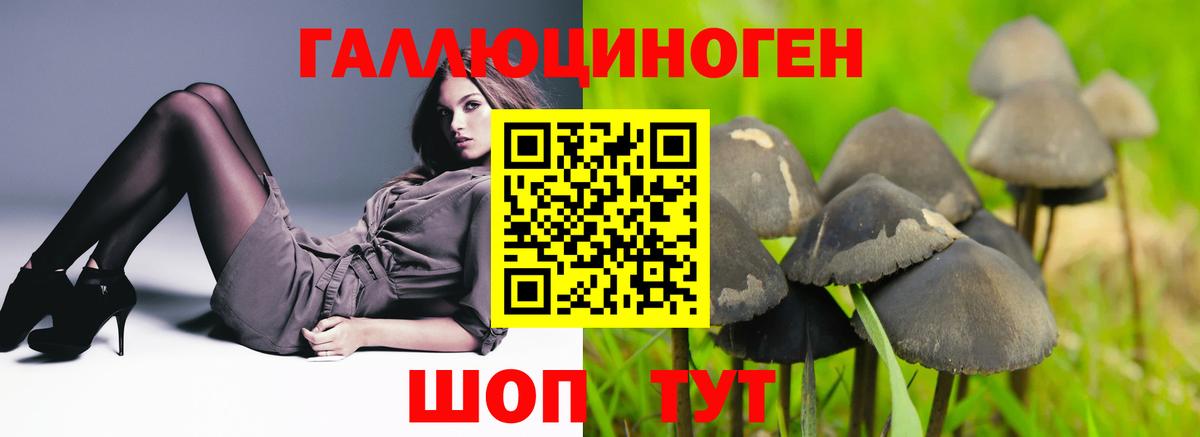 Псилоцибиновые грибы прущие грибы Дзержинск