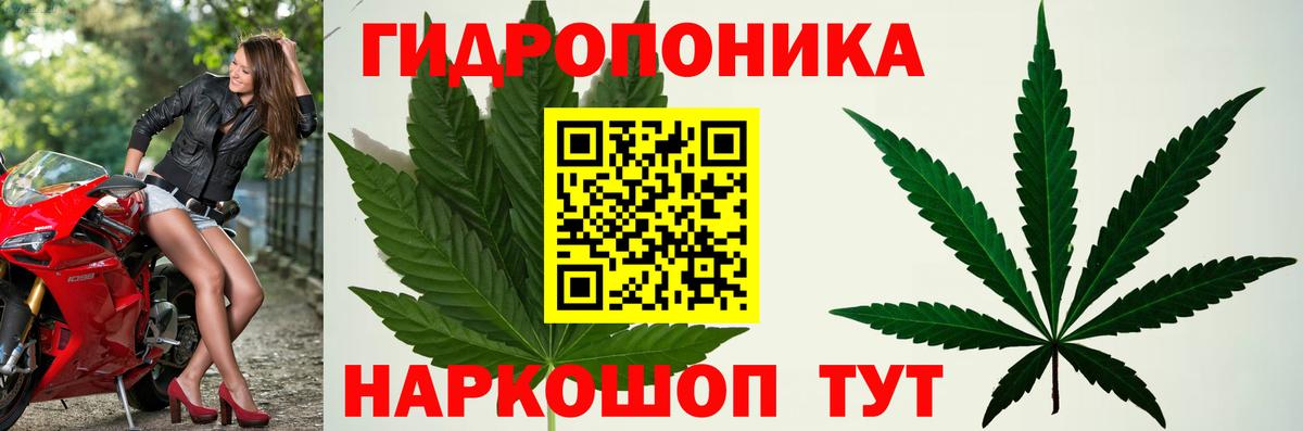 Марихуана OG Kush Дзержинск